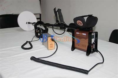 Gold and metal detector