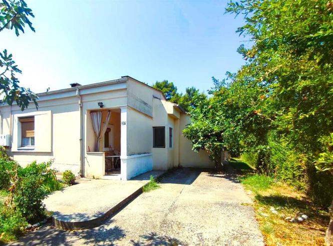 Prodaja kuća Masline