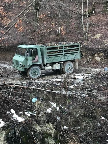 BUKOVA I CEROVA(pitoma)DRVA.