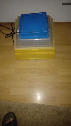 Inkubator