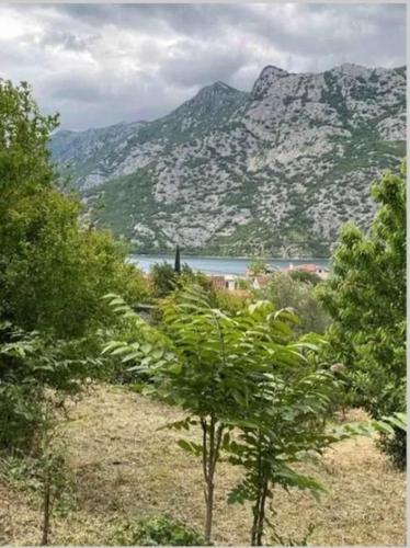 Zemljište na prodaju Risan (Kotor)