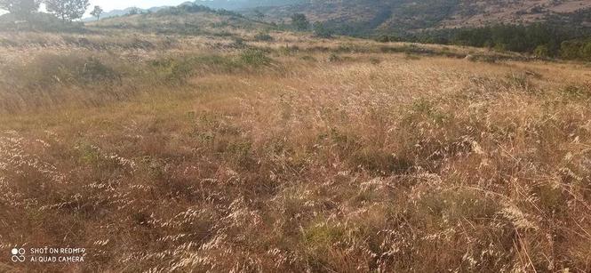 Prodaja, Danilovgrad,Zdrebaonik,zemljiste,22000m2,voda put,s