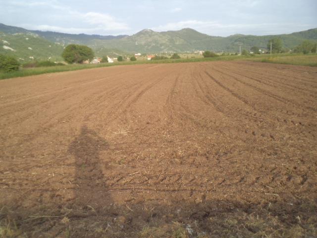 Plac od 3200m2 - Grahovo