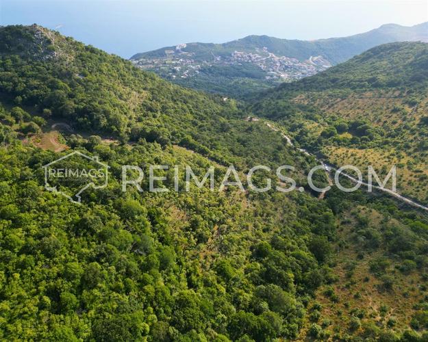Large plot with a sea view In dobra voda, Bar