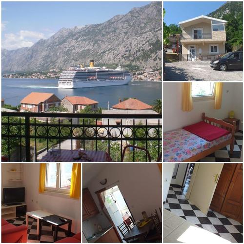 Prodaja kuce Kotoru - Muo - Peluzica.