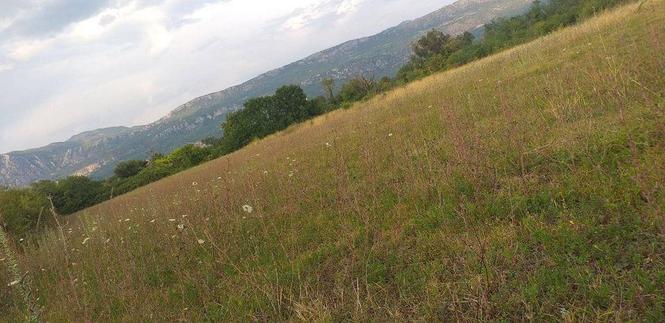 Zemlja