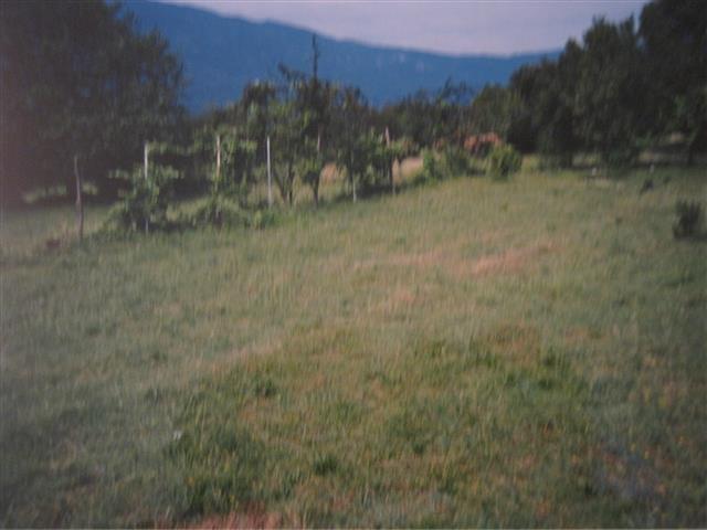 Imanje u Danilovgrad b.b.