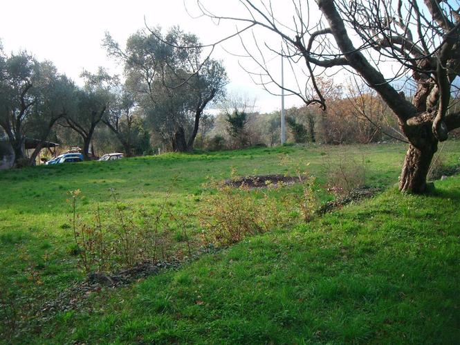 Prodajem plac