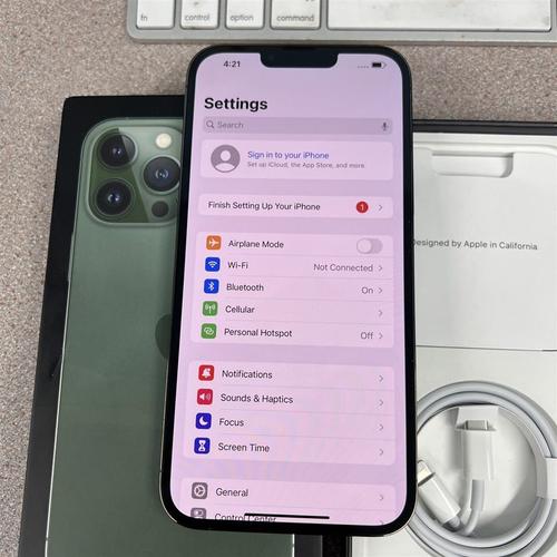 iPhone 13 pro max