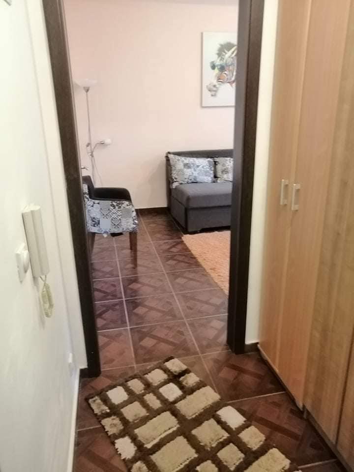 Prodaja-Podgorica-kod-Ars-Medike-garsonjera-25m2-namjestena-