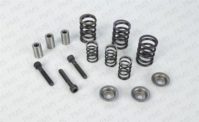 Carraro - ZF Self Adjust Kit Types, Oem Parts