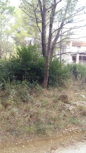 Plac 901m2