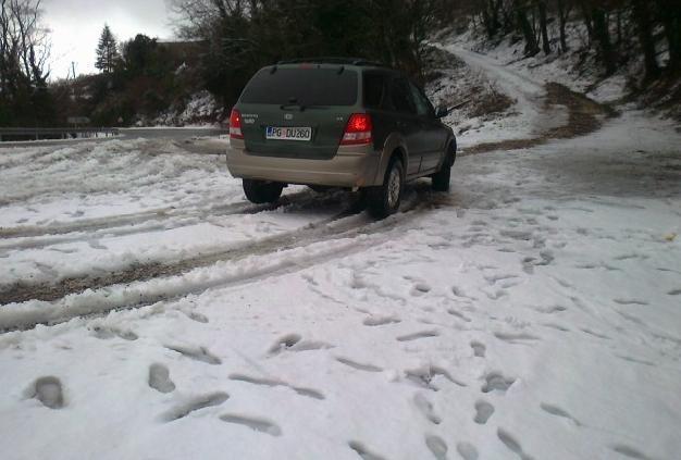 Kia - Sorento