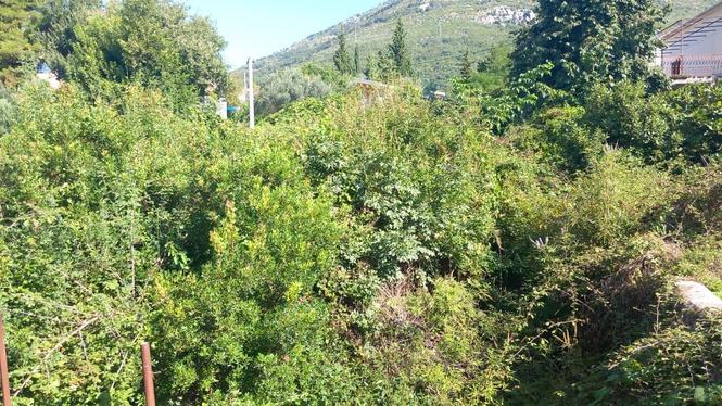 Bar, Šušanj, plac sa započetim objektom, 500m od plaže