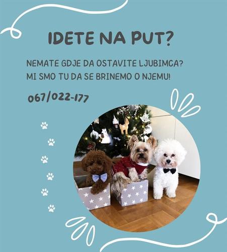 Cuvanje pasa