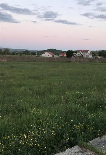 Dajem livadu na košenje