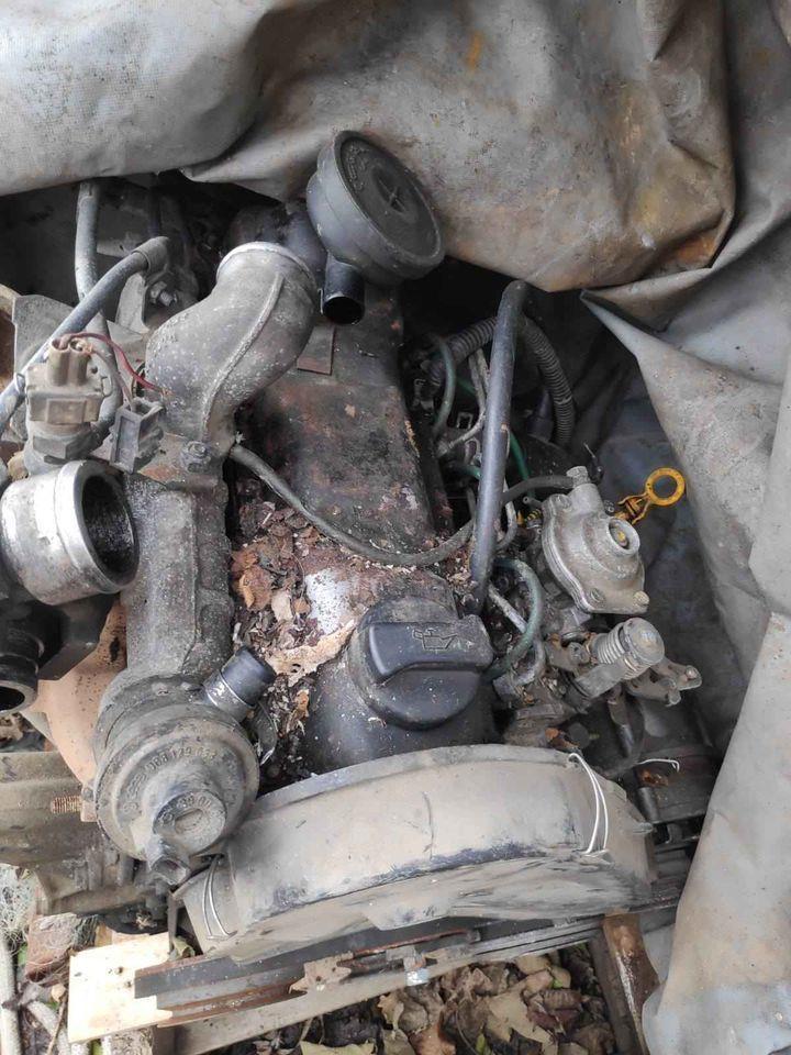 Motor-1-6-tdi-golf-2