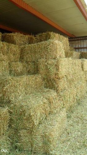 Prodajem bale