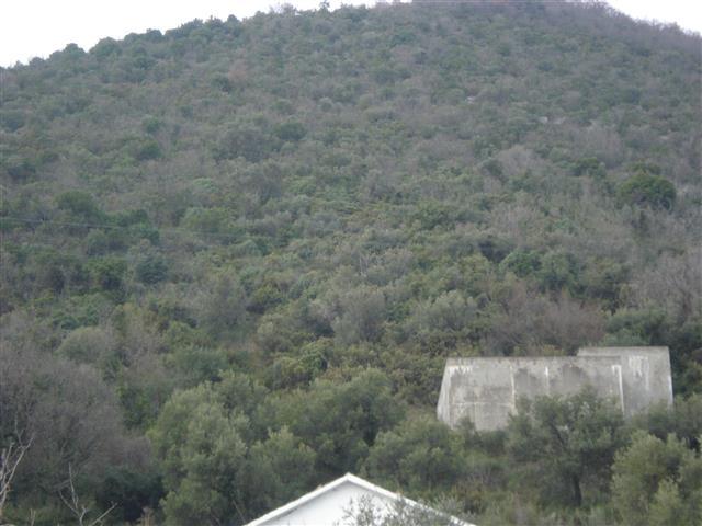 Placevi 20000m2 u Bijela