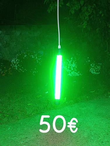 led ferali 12 v