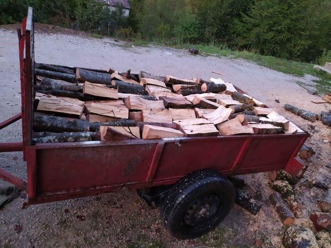 Prodajem bukova i cerova drva!
