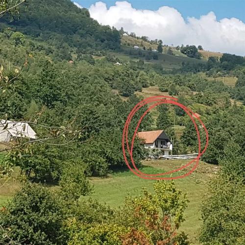 Zemljiste