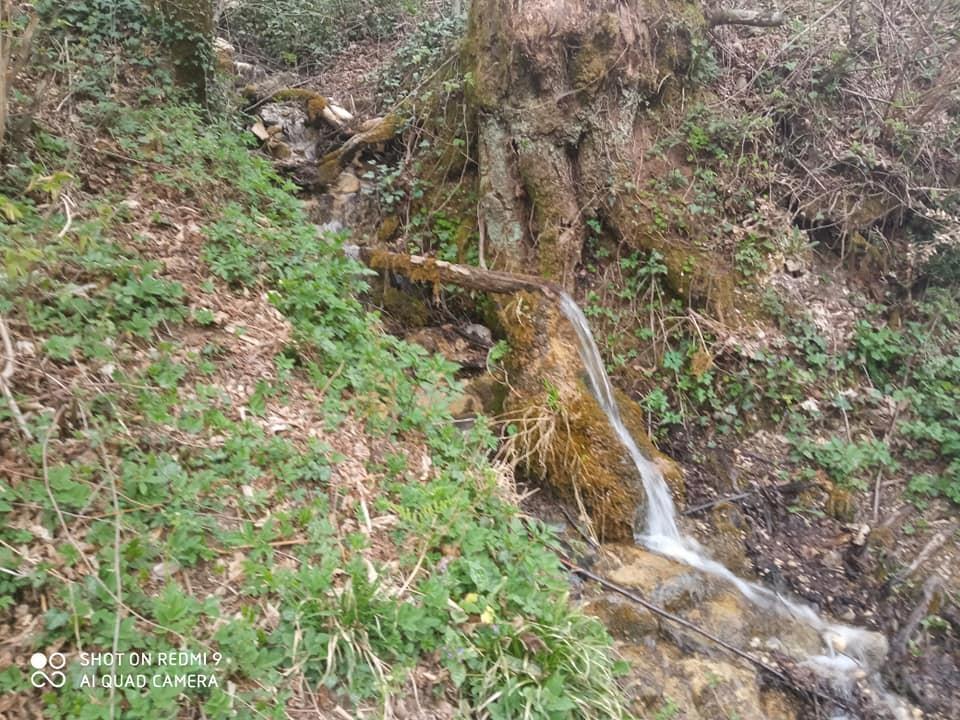 Prodaja-Kolasin-Manastir-Moraca-Djurdjevina-imanje-60000m2-k