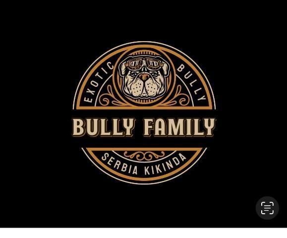 American bully exotic štenci