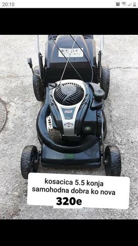 Raznoo 069 421 954