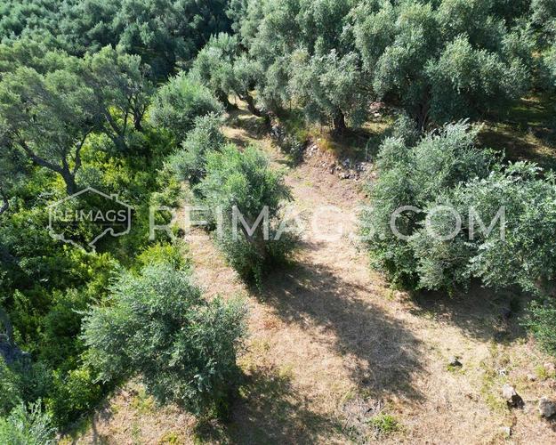 Plot with a sea view and over the city of Bar 