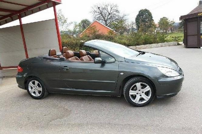Peugeot  307 -04