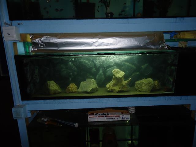 Akvarijumi i ribice