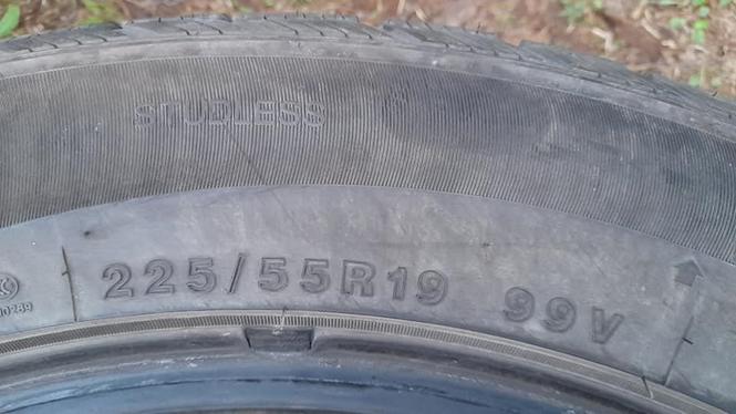 225/55/19