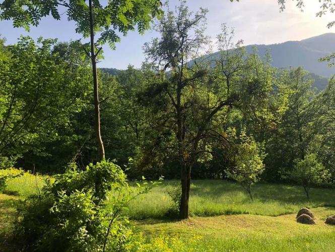 Piva Zemljiste u centru 