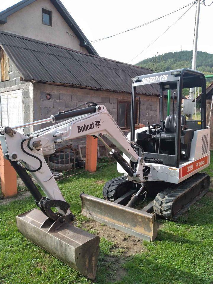 Bobcat