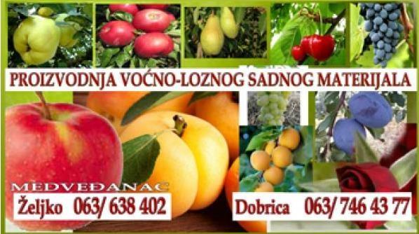 Rasadnik Medvedjanac