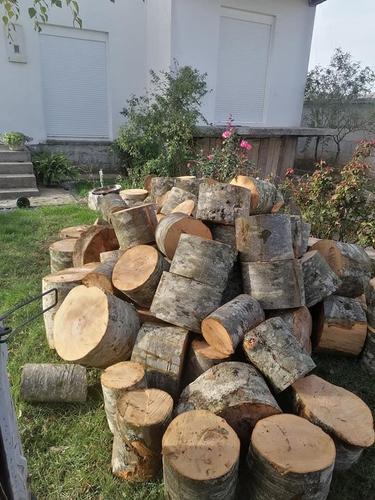 Drva pitoma i bukova