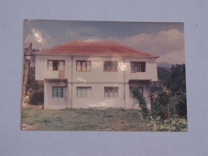 Pažići