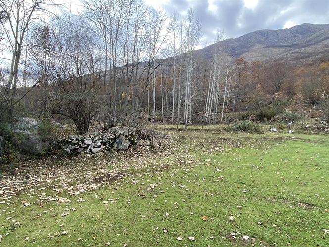 Prodaja Zamjena