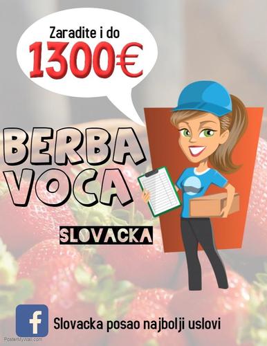 Branje voca, Slovacka