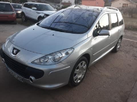 Pezo 307