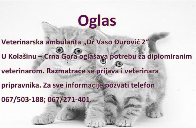 Potreban-veterinar
