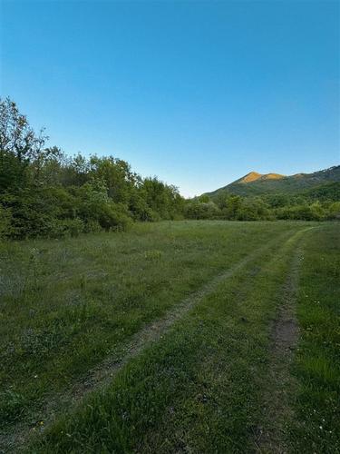 Prodajem plac 8300m2