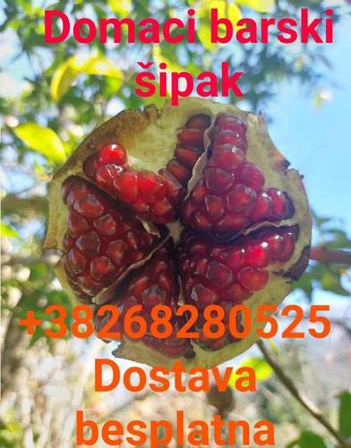 Domaci sipak