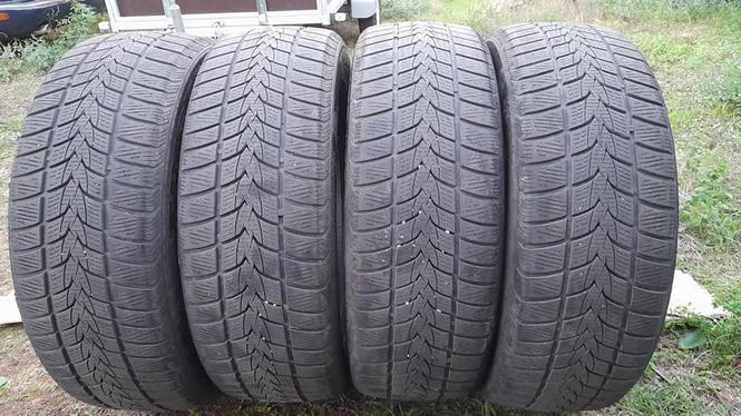 225/55/19