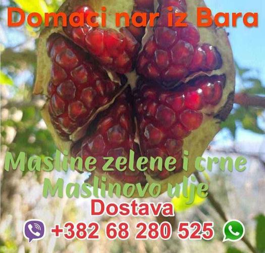 Domaci sipak