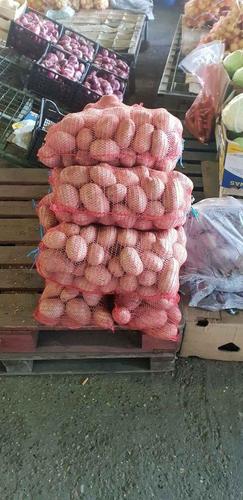 Prodajem planinski domaci krompir