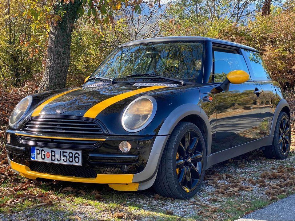 Mini-b+plin-moze-zamjena-za-veće
