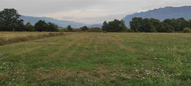 Prodaje se plac, Danilovgrad