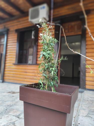 Potrebna 3 konobara/sankera